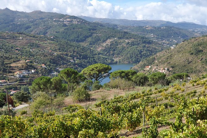 Douro Valley - Lets Go for It. - Exploring Douro Valleys Vineyards