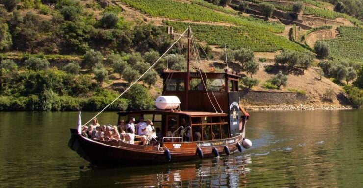 Douro Valley: Lunch, Wine Tastings & River Cruise - Activity Details
