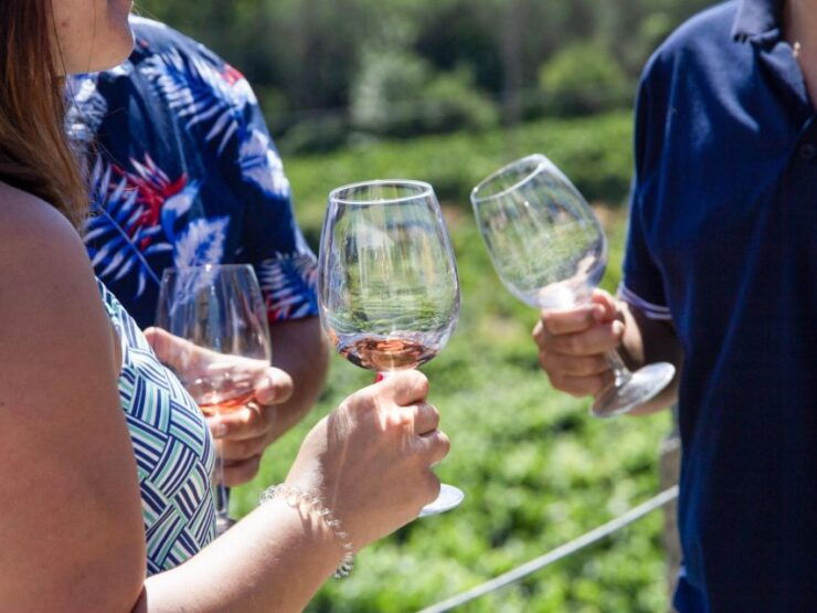 Douro Valley: Lunch, Wine Tastings & River Cruise - Highlights