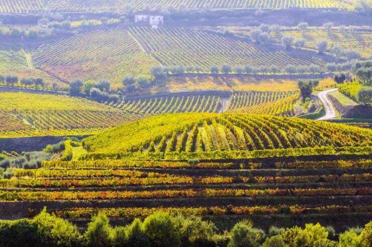 Douro Valley, ONE OF A RIDE - MORE THAN A JOURNEY - Good To Know