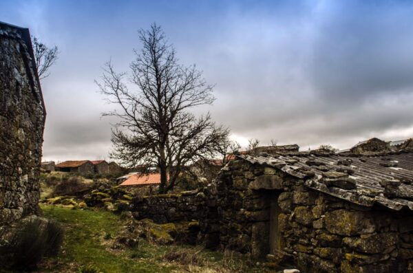 Douro Valley, ONE OF A RIDE - MORE THAN A JOURNEY - Highlights of Cultural Significance