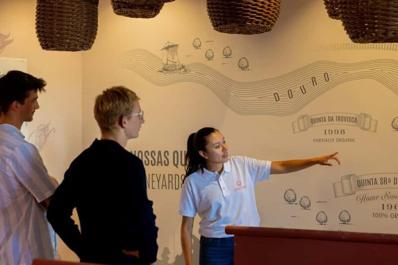 Douro Valley: Port & Cheese Tasting with a Local Wine Guide - Douro Valley: Port & Cheese Tasting with a Local Wine Guide