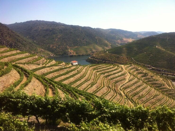 Douro Valley: PORT WINE DISCOVERY JOURNEY - Good To Know