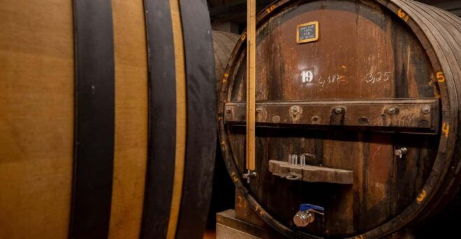 Douro Valley: PORT WINE DISCOVERY JOURNEY - Guided Tour Features
