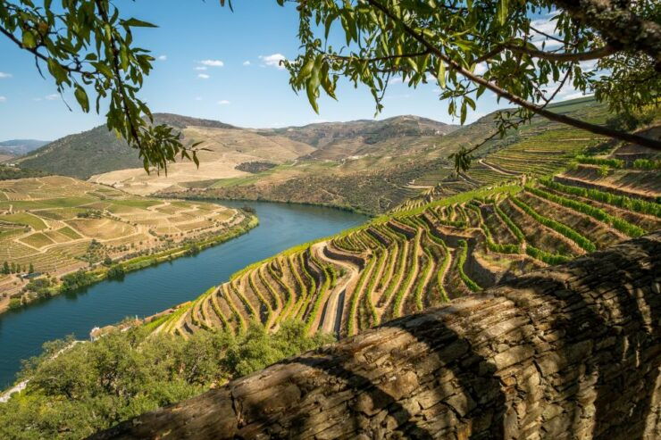 Douro Valley: Premium Full-Day Tour Experience - Tour Details