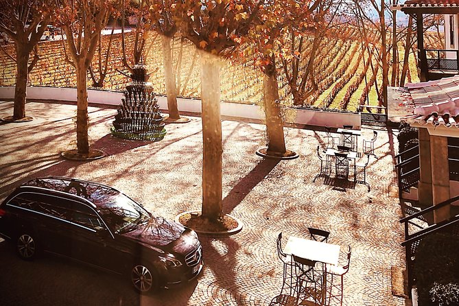 Douro Valley Premium Private - Gourmet Lunch Experience