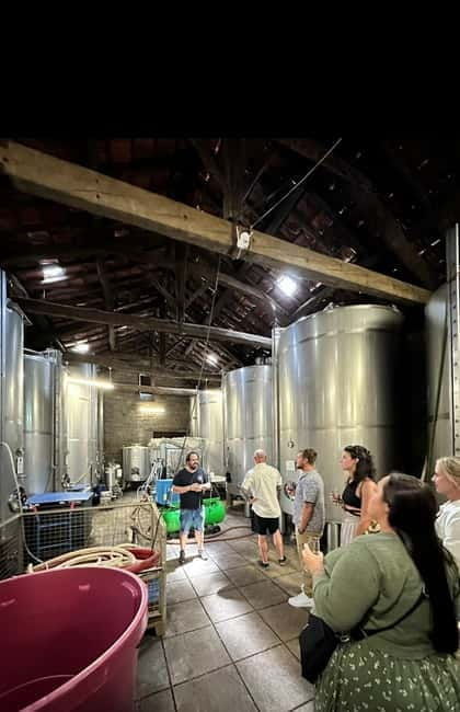 DOURO VALLEY: Premium Wine Tour, Winery Lunch & Private Boat - The Real-World Benefits of This Tour