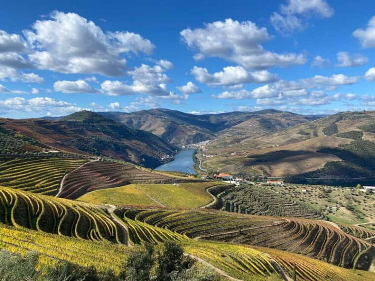 DOURO VALLEY: Premium Wine Tour, Winery Lunch & Private Boat - Practical Details and Considerations
