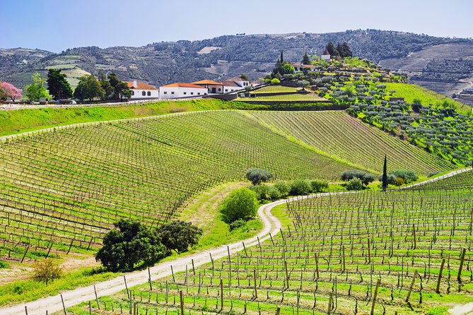 Douro Valley Private Day Tour From Porto - Tour Details and Duration