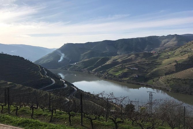 Douro Valley Private Full-Day Tour From Porto - Tour Highlights
