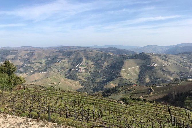 Douro Valley Private Full-Day Tour From Porto - Pricing and Inclusions