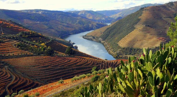Douro Valley Private Full–Day Tour From Porto - Tour Details
