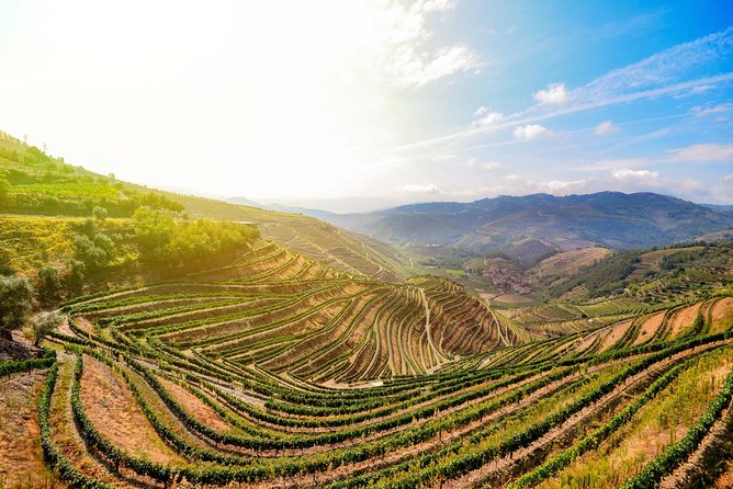 Douro Valley Private Full–Day Tour From Porto - Pricing and Booking