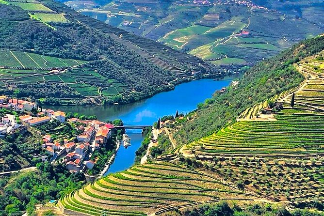 Douro Valley Private Tour: 2 Farms, Lunch & Boat Trip - Tour Highlights