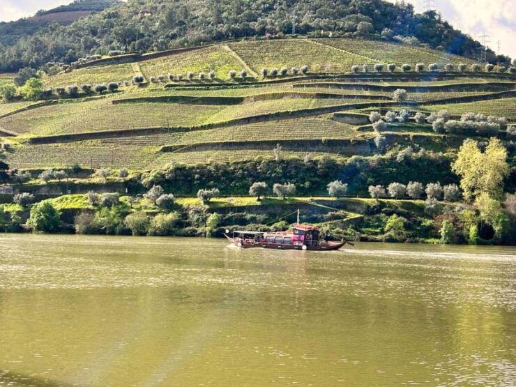 Douro Valley: Private Tour 2 Vineyards & River Cruise - Good To Know