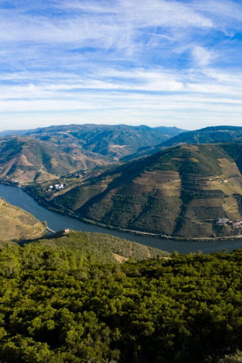 Douro Valley: Private Tour 2 Vineyards & River Cruise - Itinerary Details