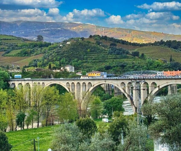 Douro Valley: Private Tour 2 Vineyards & River Cruise - Exquisite Traditional Lunch