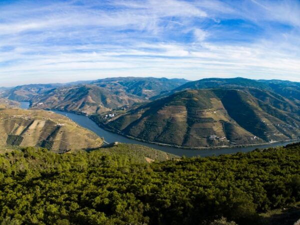 Douro Valley: Private Tour 2 Vineyards & River Cruise - Inclusions and Participant Info