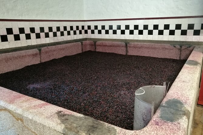 Douro Valley Private Tour - Traveler Experience