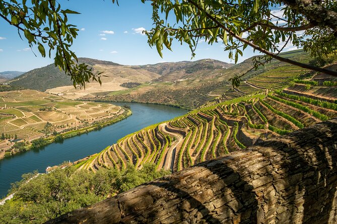 Douro Valley Private Tour (All Inclusive) - Tour Highlights