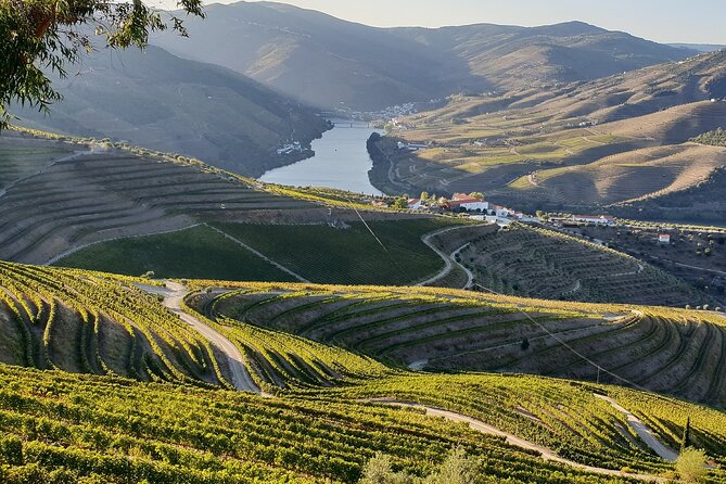 Douro Valley Private Tour (All Inclusive) - Frequently Asked Questions
