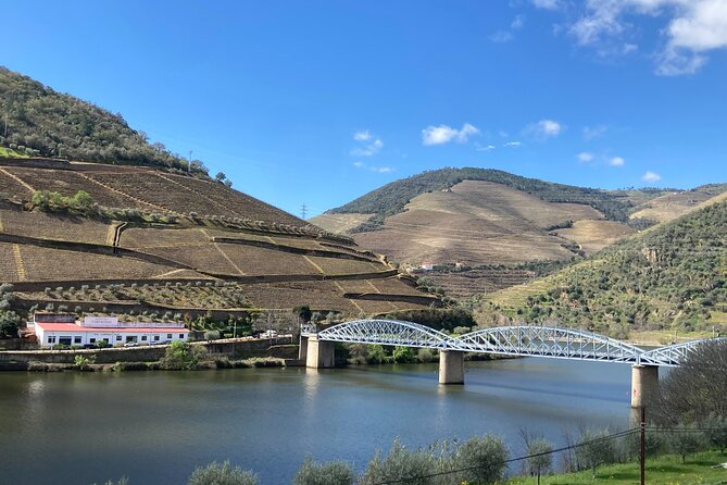 Douro Valley Private Tour and Wine Experience - Tour Highlights