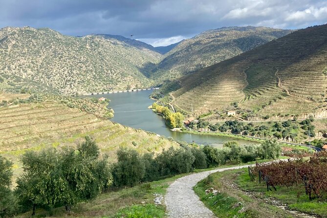 Douro Valley Private Tour and Wine Experience - Itinerary Overview