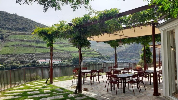 Douro Valley Private Tour From Braga: Lunch & Wine Tour - Itinerary Details