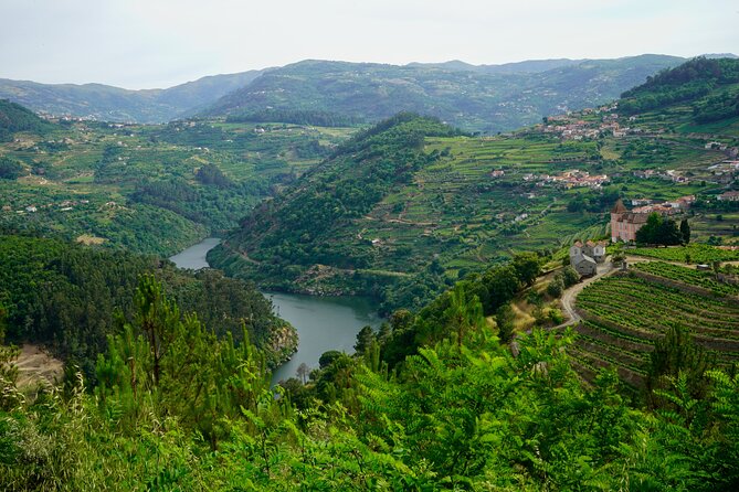 Douro Valley Private Tour From Lisbon - Important Information