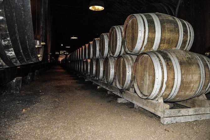 Douro Valley Private Tour From Oporto - Scenic Drive Along the Douro River