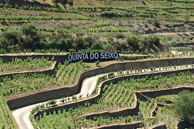 Douro Valley Private Tour From Oporto - Wine Tasting at Local Vineyards