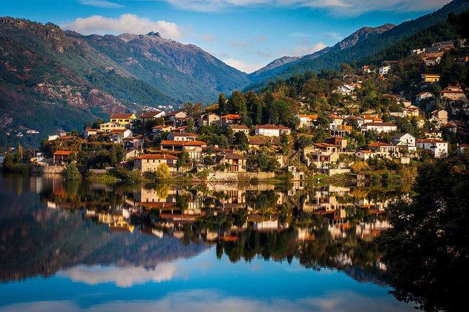 Douro Valley Private Tour From Oporto - Optional Activities and Add-Ons