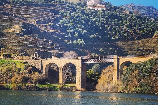 Douro Valley Private Tour From Porto - Common Questions