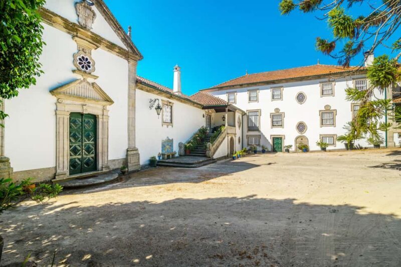 Douro Valley: Private Tour & Guided Wine & Olive Oil Tasting - The Sum Up