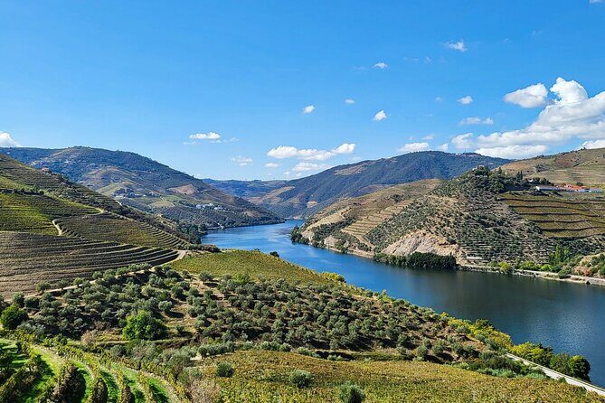 Douro Valley Private Tour (winery + boat + viewpoint) - Good To Know