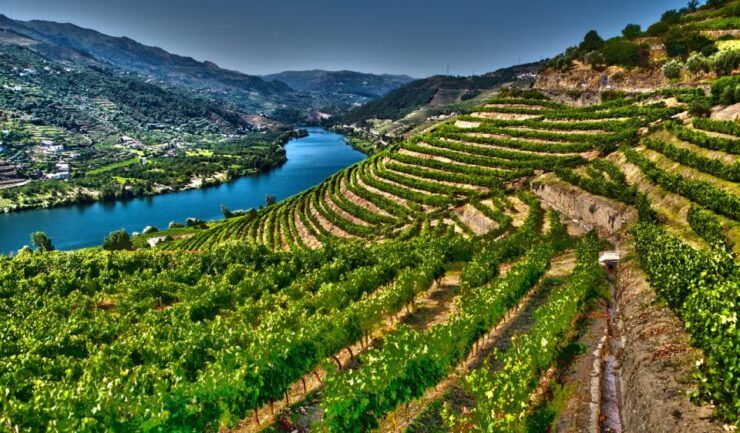 Douro Valley Private Tour With 2 Wine Tastings - Inclusions: Skip the Line, Driver, Language