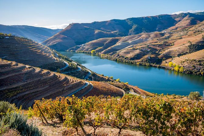 Douro Valley: Private Tour With Lunch and Wine Estate All Inclusive - Pickup Details