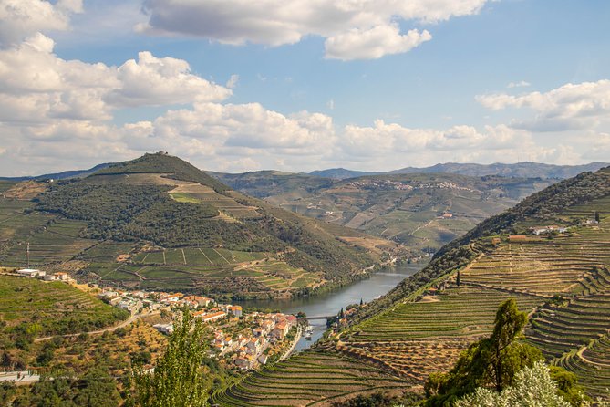 Douro Valley: Private Tour With Lunch and Wine Estate All Inclusive - Additional Details