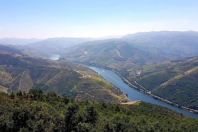 Douro Valley: Private Tour With Lunch and Wine Estate All Inclusive - How to Reserve