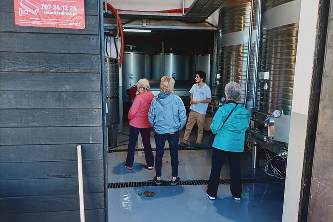 Douro Valley Private Tour With Sommelier - Pricing and Booking Information