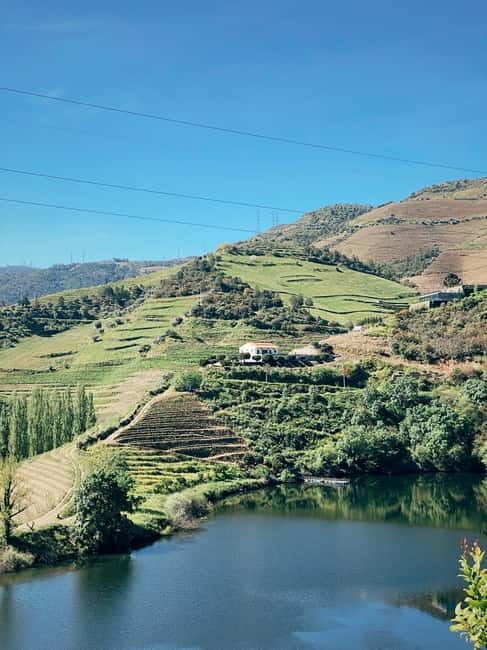 Douro Valley: PRIVATE TOURS with 1 Wine Tasting - Final Thoughts