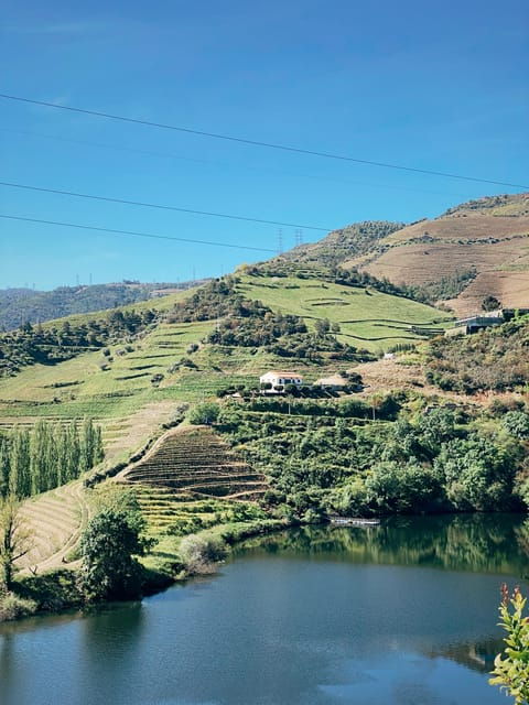Douro Valley: PRIVATE TOURS With Wine Tasting and Lunch - Itinerary Details