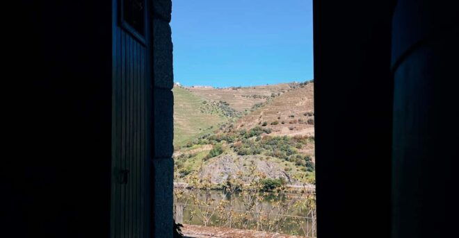 Douro Valley: PRIVATE TOURS With Wine Tasting and Lunch - Wine Estates Visits