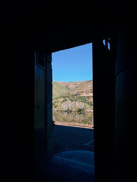 Douro Valley: PRIVATE TOURS With Wine Tasting and Lunch - Itinerary Highlights