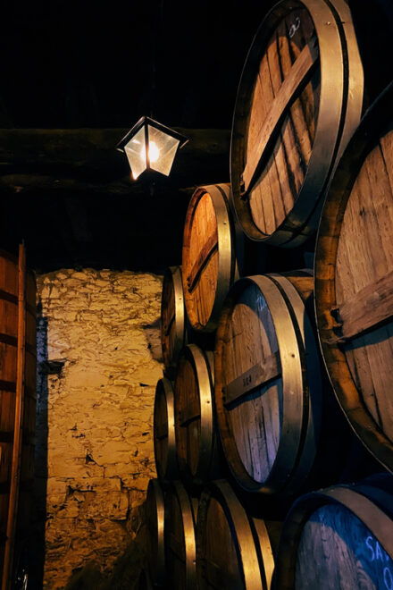 Douro Valley: PRIVATE TOURS With Wine Tasting and Lunch - Wine Tasting and Estates