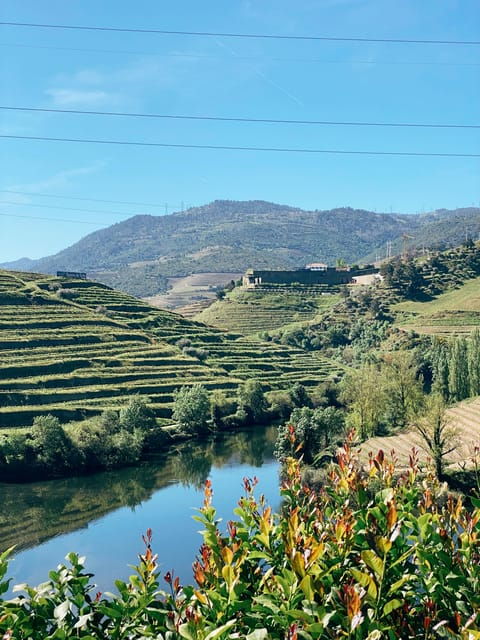 Douro Valley: PRIVATE TOURS With Wine Tasting and Lunch - River Cruise on Rabelo Boat