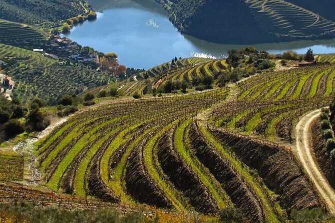 Douro Valley Private Wine Tour from Lisbon - Good To Know