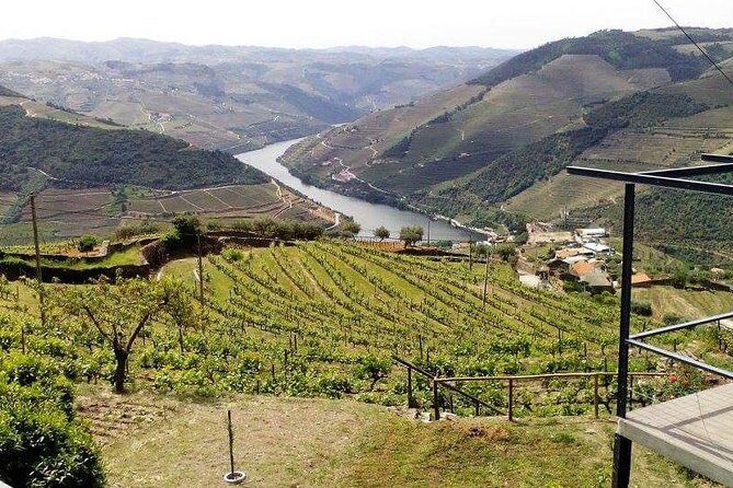Douro Valley Private Wine Tour from Lisbon - Who Should Consider This Tour?