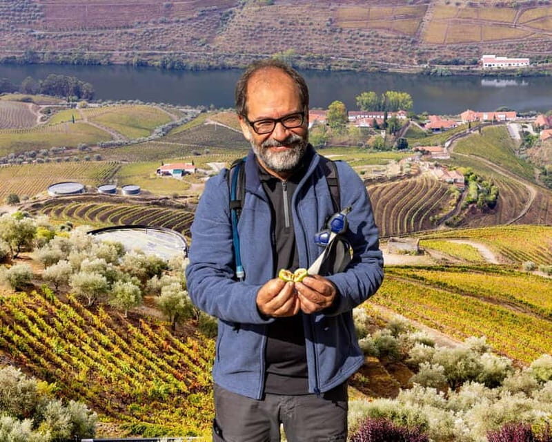 Douro Valley: Provesende and São Cristóvão Guided Hike - Good To Know