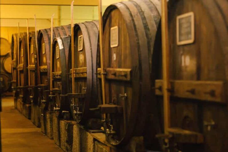 Douro Valley: QUEVEDO DISCOVERY (PORT & DOURO WINES) - Pricing and Reservation Details